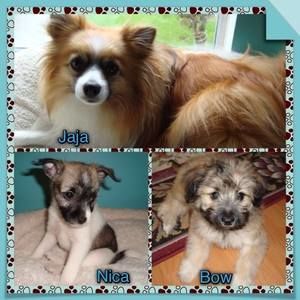 Meet your Posher, Arlene